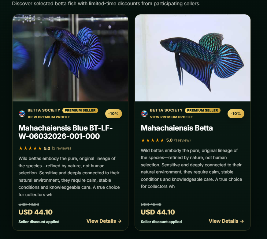 Betta fish listing cards with seller, price, discount and View Details information