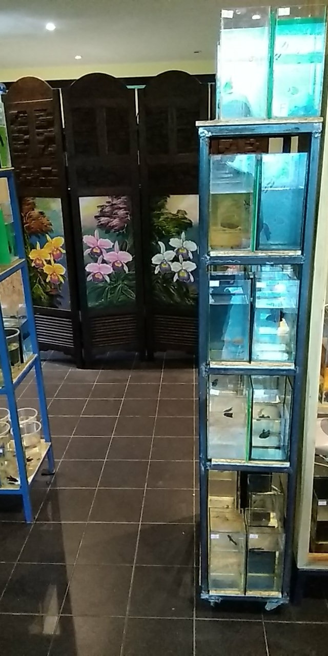 53139454_245761739706938_4351440961981644800_n (1).jpg